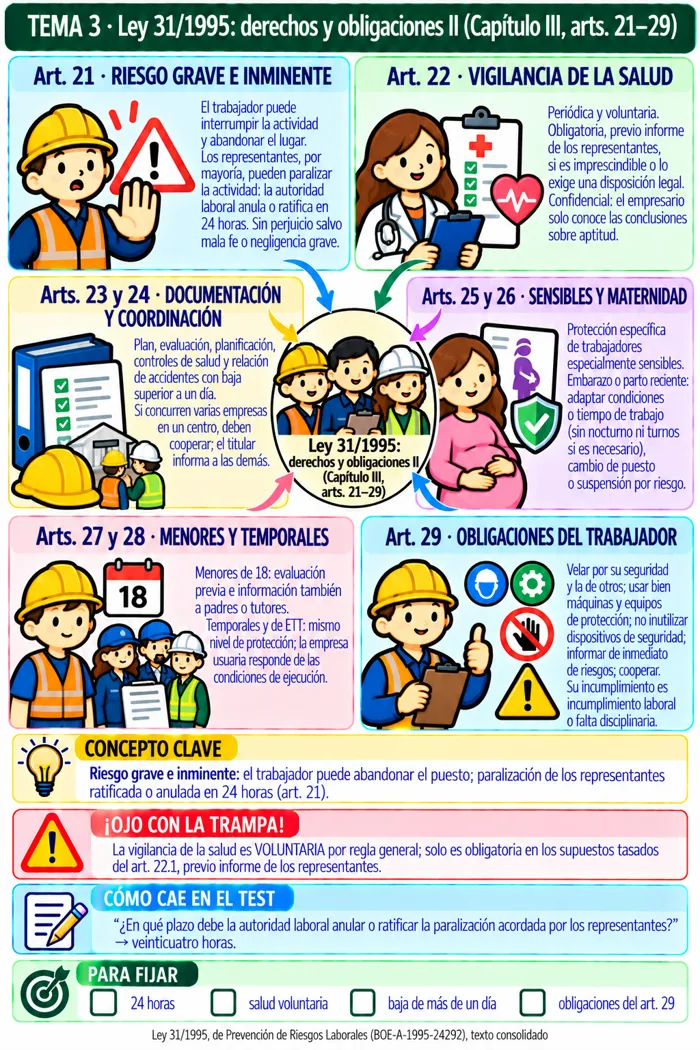 Mapa mental: Ley 31/1995: derechos y obligaciones II (Capítulo III, arts. 21–29)